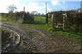 Footpath to Hill House