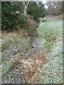 A chilly January morning near Oakhanger Stream (G)