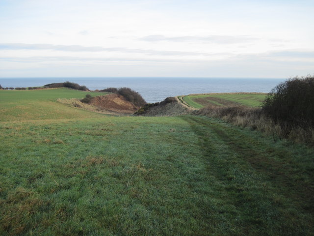 Footpath  to  Cloughton  Wyke  and  Cleveland  Way