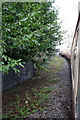 A charter train traverses the Colnbrook Branch