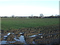 Farmland off the A64