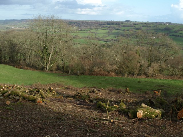 Clearance on Dumpdon Hill
