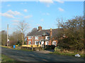 Small row of Cottages