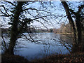 The Lake, Buscot Park