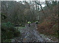 SS8943 : Cyclists in Horner Wood by Graham Horn