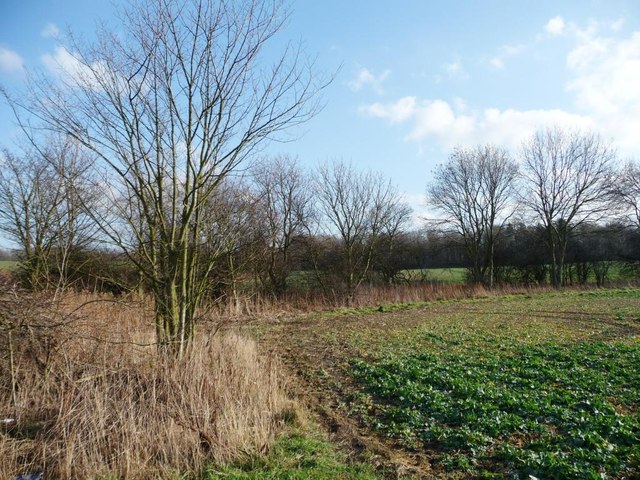 Hooton Pagnell Common is now a crop field