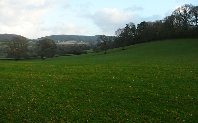 View from the Horner to Hilnicote footpath