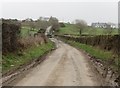 View east along a muddy Bright Road