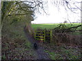 The footpath towards Coppice Farm