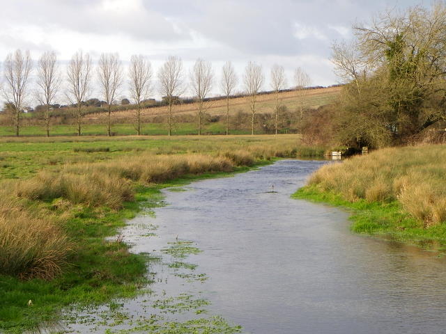 River Allen, Wimborne St Giles