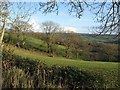 Fields and trees southwest of Holemore Cross