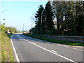 The A31 at East Almer Farm