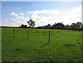 Fields next to Fieldfares