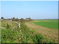 SY8596 : Fields near Lincoln Farm by Nigel Mykura