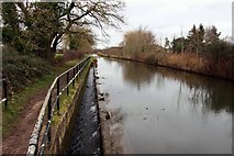 SP4912 : The Oxford Canal by Kidlington by Steve Daniels