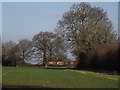 Downland Near Beech