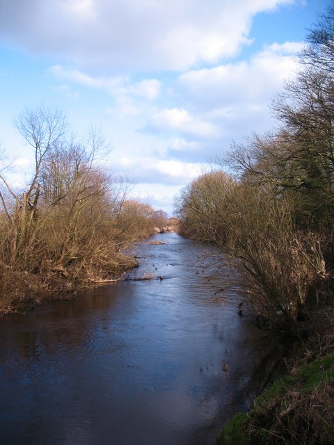 The Nidd near Cowthorpe © Gordon Hatton cc-by-sa/2.0 :: Geograph ...