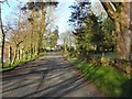 Fireagh Road, Loughmuck