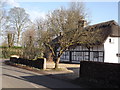 Village Street, Bentworth