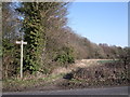 Bridleway above Salthrop Wood