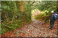 Bridleway to Tarr Ball