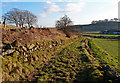 Field Track, Barnaigh Hill