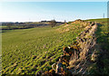 Dry Stone Wall