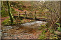 Tarr Ball Bridge