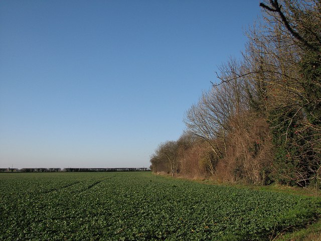 Field, sky and railway remains