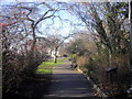 TQ2777 : Cheyne Gardens, Chelsea by PAUL FARMER