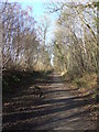 Hadleigh Railway Walk