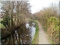 Disused canal north of Bevan