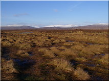 NN3351 : An averagely dry part of Rannoch Moor by ian shiell