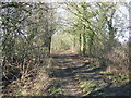 Footpath and Track