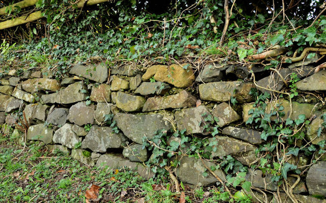 Drystone wall, Comber
