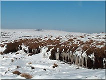 SK1392 : Winter on the moorland ridge above Alportdale by Neil Theasby