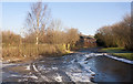 A frozen road near Carrington