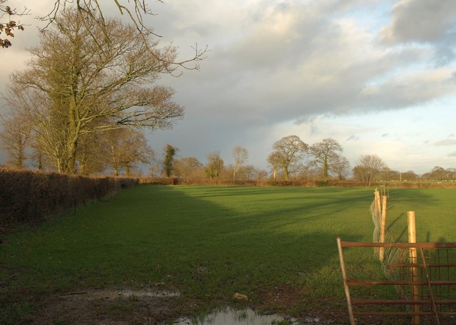 Field near Whitedown Cross