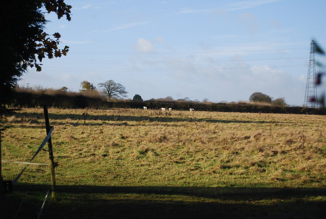 Farmland off Gallant Lane