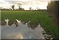 Wet field by the lane to Jack