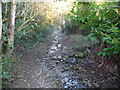 Sunken lane in Oswestry