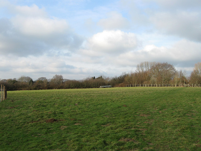 Street Field (2)