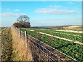 Footpath Over Warren Hill