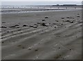 Markers at the western end of the award winning Tyrella Beach