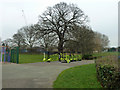 Exercise apparatus, Queenscroft recreation ground