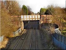 SJ7989 : Brooks Drive Railway Bridge by David Dixon