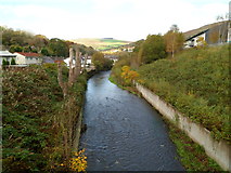 SS9993 : Rhondda Fawr river upstream from Princess Louise Road, Llwynypia by Jaggery