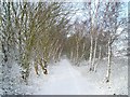 Former railway track (in winter)