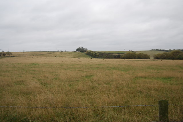 Grassland near Decoy Farm