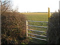 The beginning of the footpath to Waltham Lane